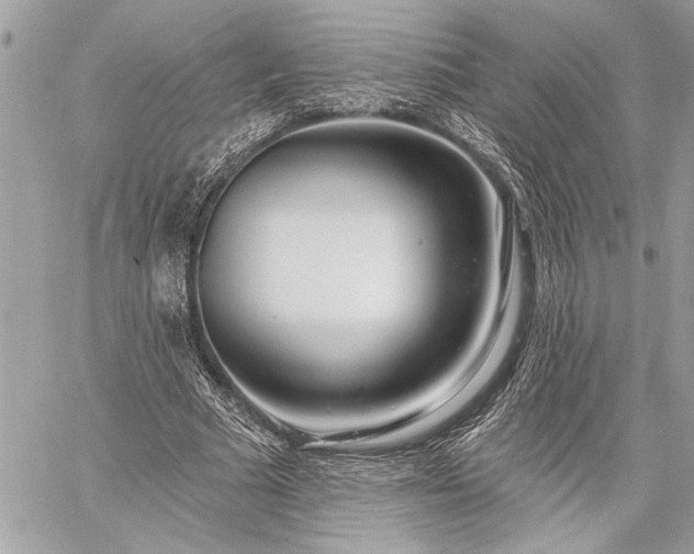 X0000060240681200510281119