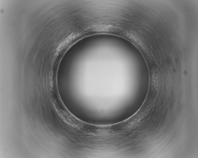 X0000060240682200510281119