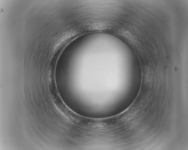 X0000060240683200510281119