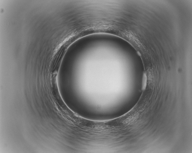 X0000060240684200510281119