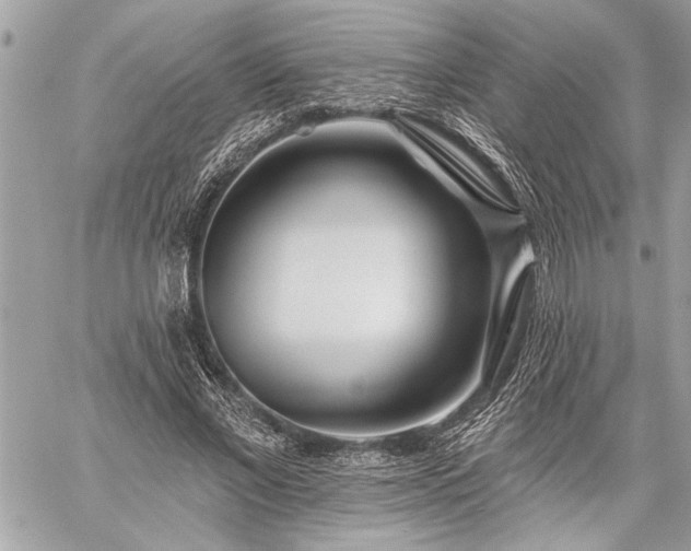 X0000060240685200510281119