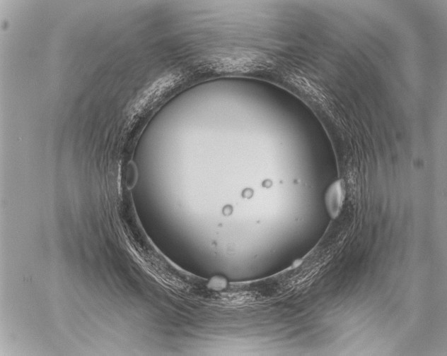 X0000060240686200510281119