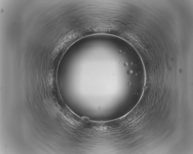 X0000060240687200510281119