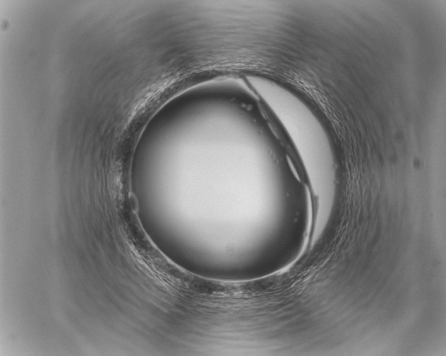 X0000060240688200510281119