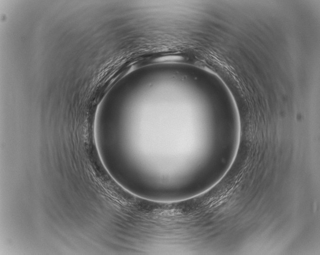 X0000060240689200510281119