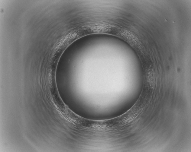 X0000060240690200510281119