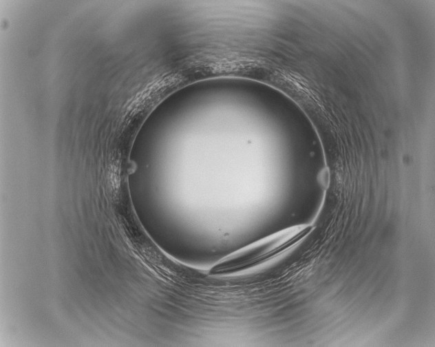 X0000060240691200510281119