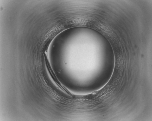 X0000060240693200510281119