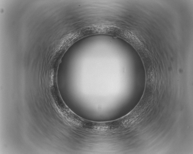 X0000060240694200510281119