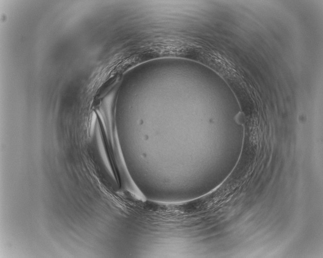 X0000060240695200510281119