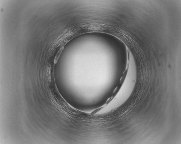 X0000060240696200510281119