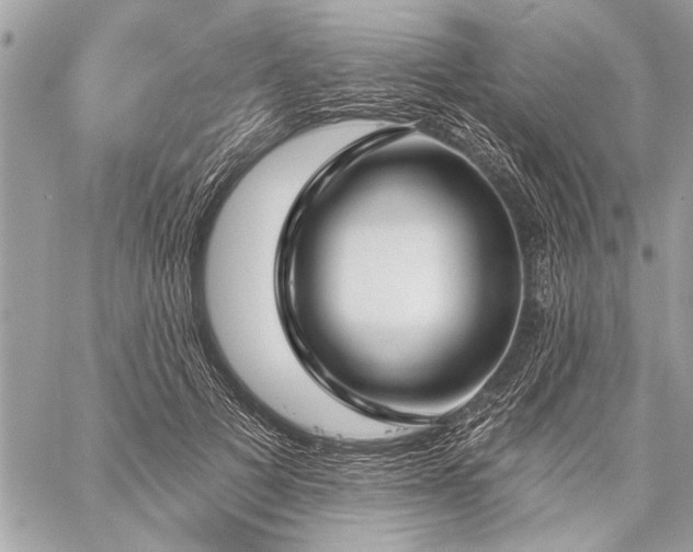 X0000060240697200510281119