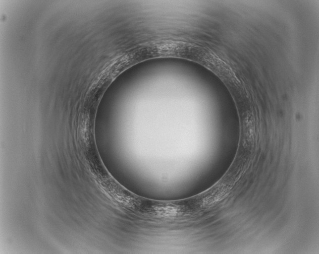 X0000060240698200510281119