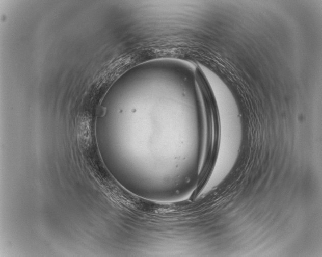 X0000060240699200510281119