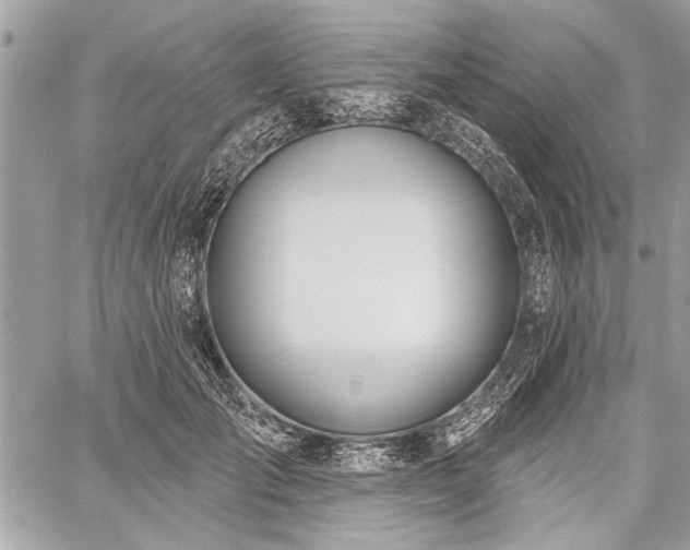 X0000060240701200510281119