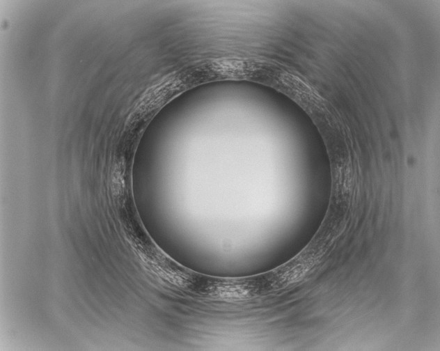 X0000060240702200510281119