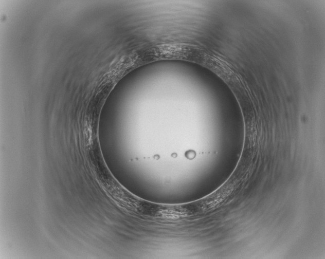 X0000060240703200510281119