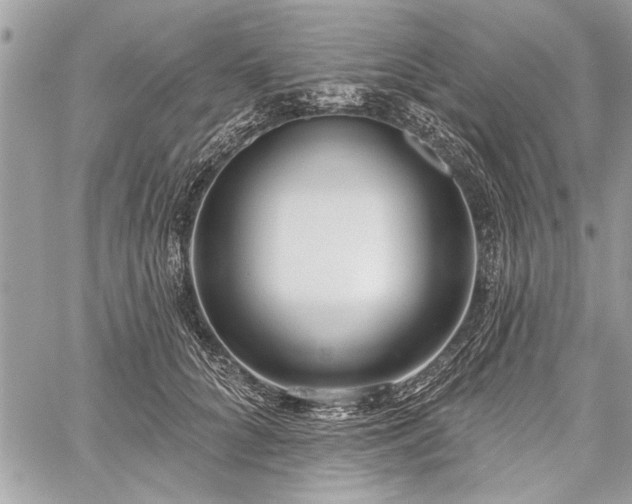 X0000060240704200510281119