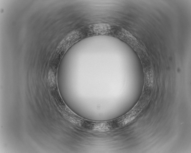 X0000060240705200510281119