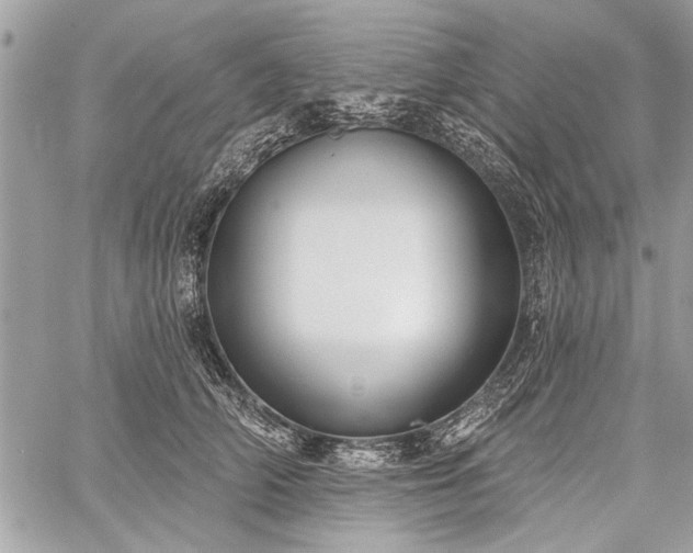 X0000060240706200510281119