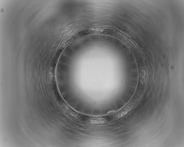 X0000060240707200510281119