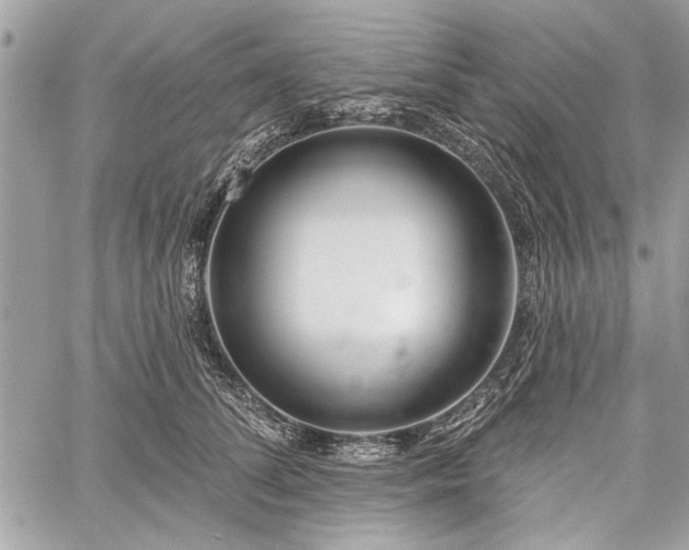 X0000060240708200510281119