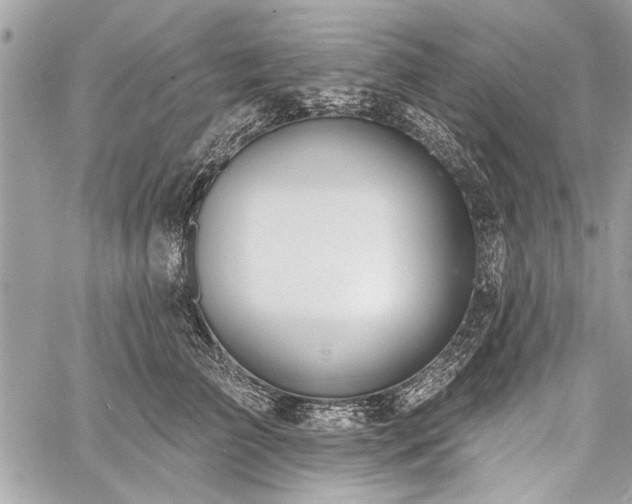 X0000060240709200510281119