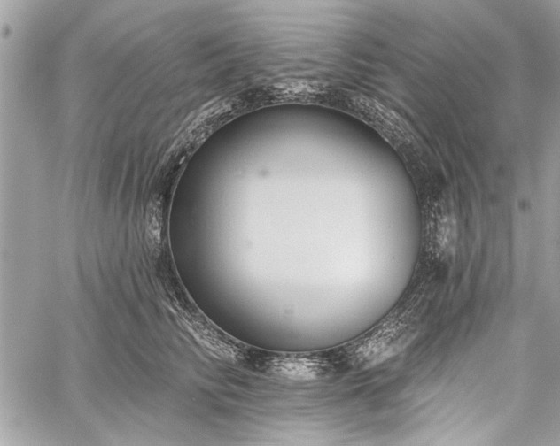 X0000060240710200510281119