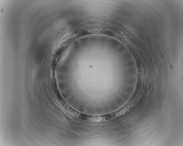 X0000060240711200510281119