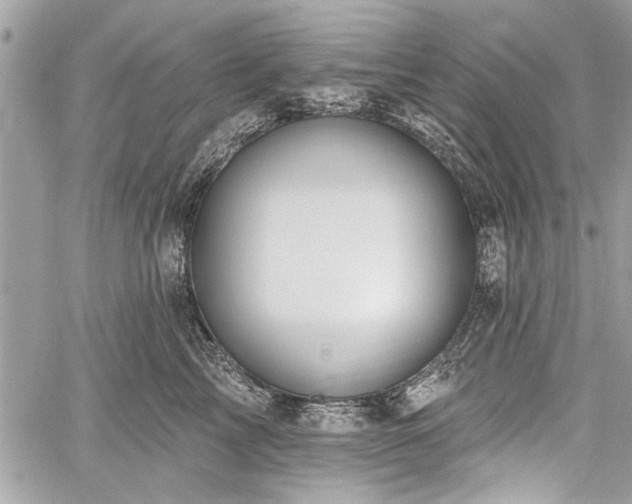 X0000060240713200510281119