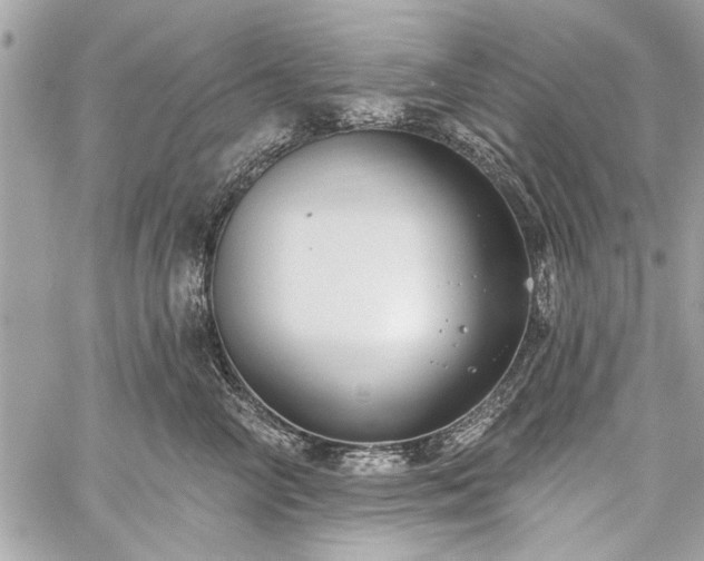 X0000060240714200510281119