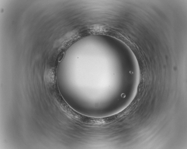 X0000060240715200510281119