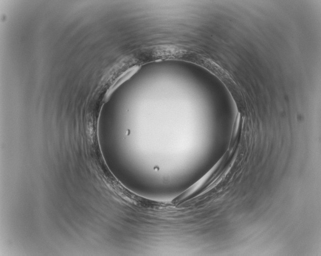 X0000060240716200510281119