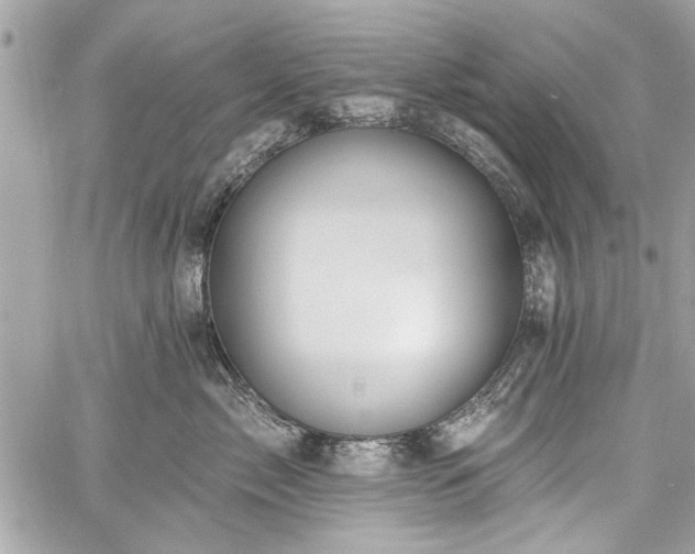 X0000060240717200510281119