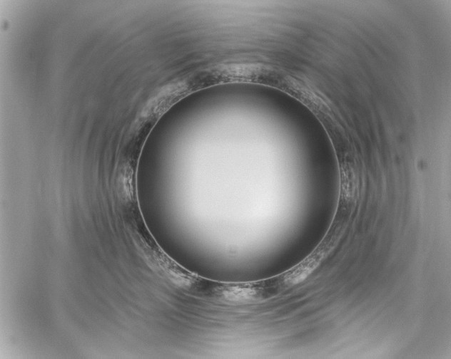 X0000060240718200510281119