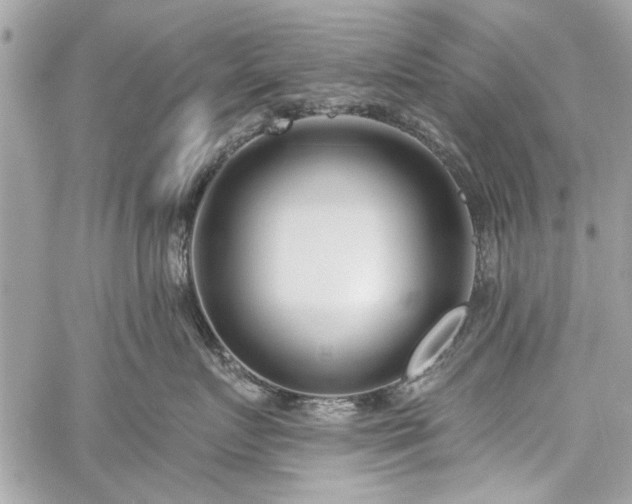 X0000060240719200510281119