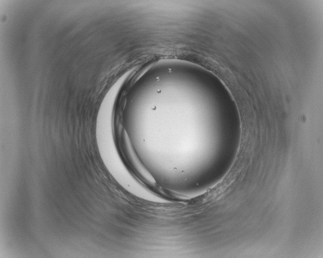 X0000060240720200510281119