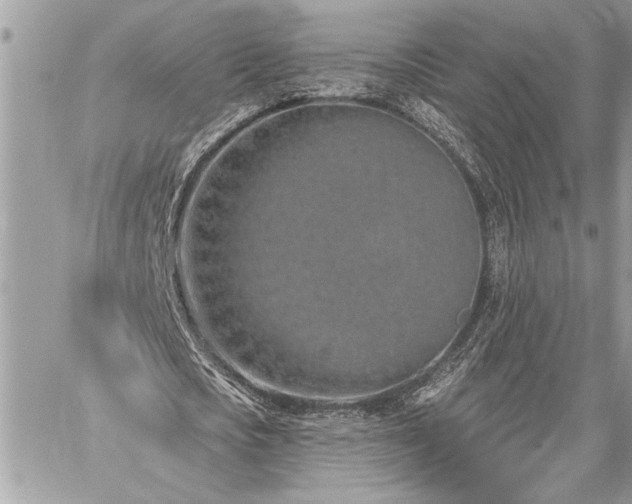 X0000060240721200510281118