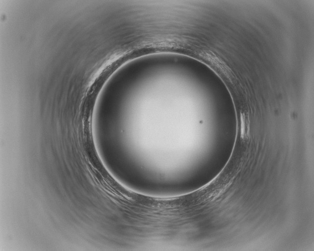 X0000060240723200510281118