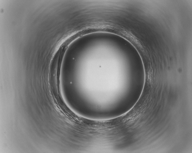 X0000060240724200510281118