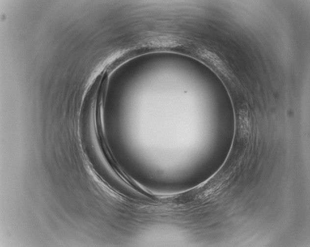 X0000060240726200510281118