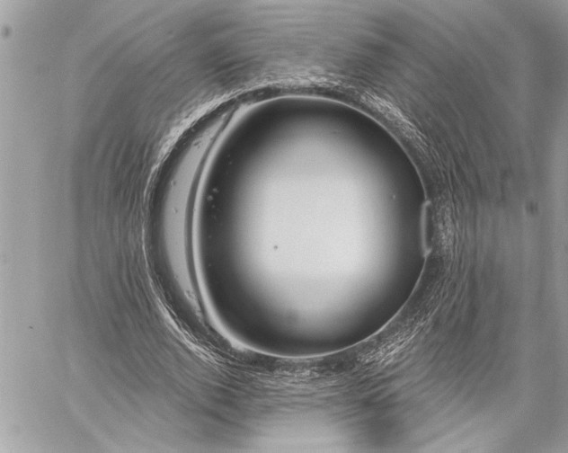 X0000060240728200510281118