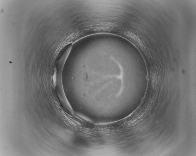 X0000060240729200510281118