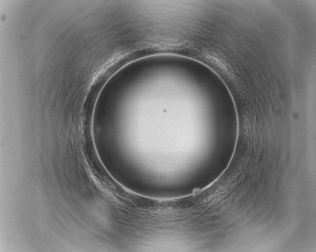 X0000060240730200510281118