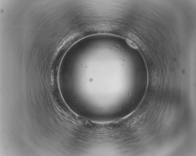 X0000060240731200510281118