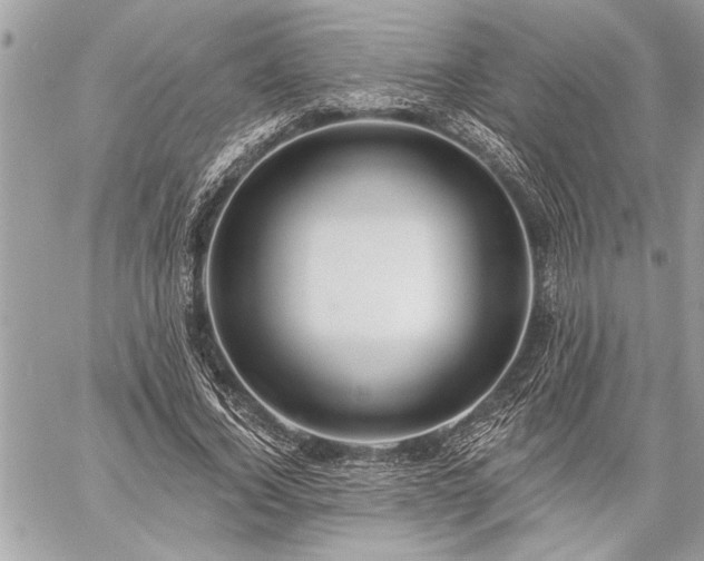 X0000060240732200510281118