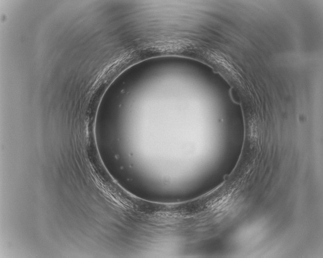 X0000060240733200510281118