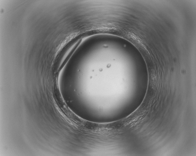 X0000060240734200510281118