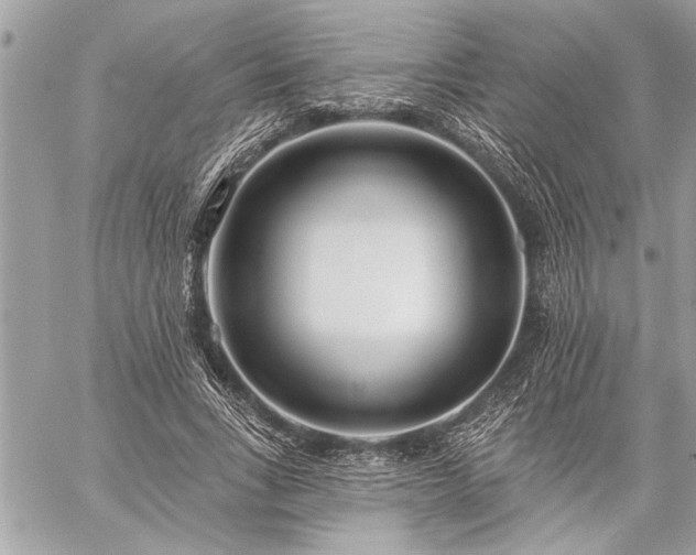 X0000060240735200510281118