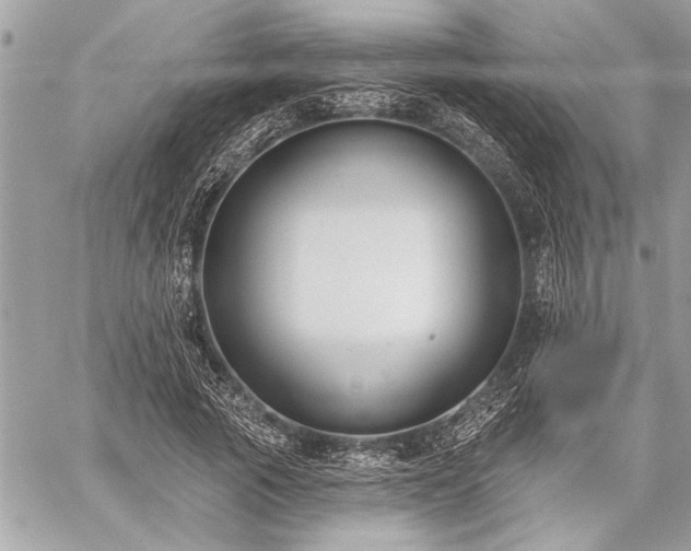 X0000060240737200510281118